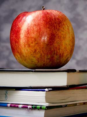 云呼死你轰炸免费网页平台