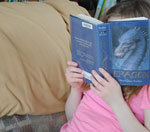 短信验证码轰炸平台免费